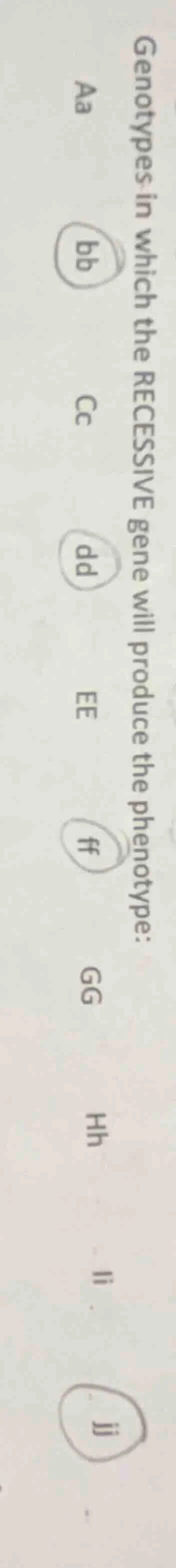 genotypes in which the recessive gene will produce the phenotype: aa bb…