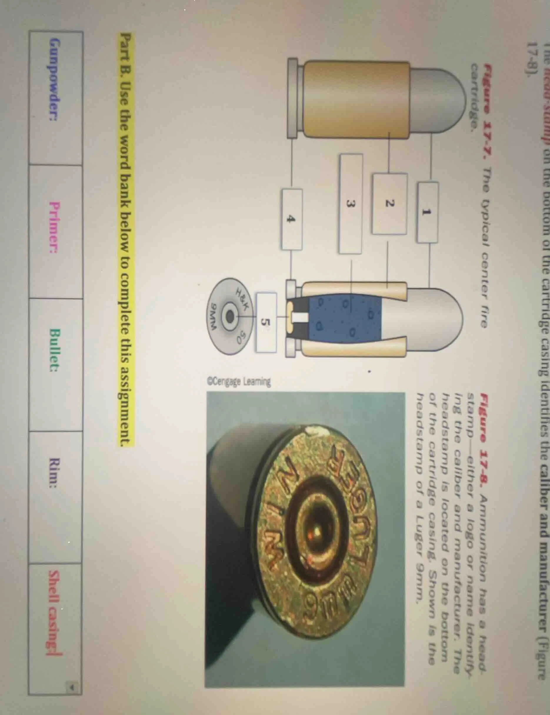 part b. use the word bank below to complete this assignment. gunpowder:…