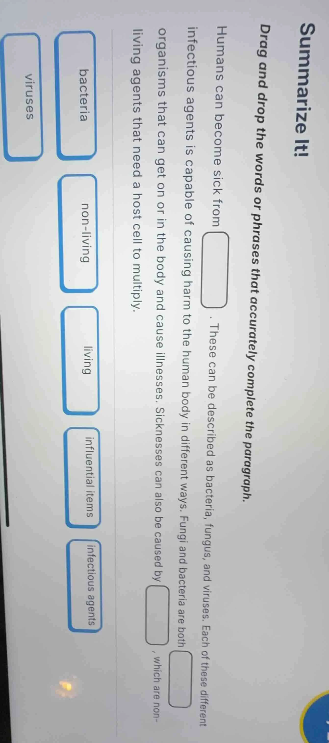 summarize it! drag and drop the words or phrases that accurately comple…