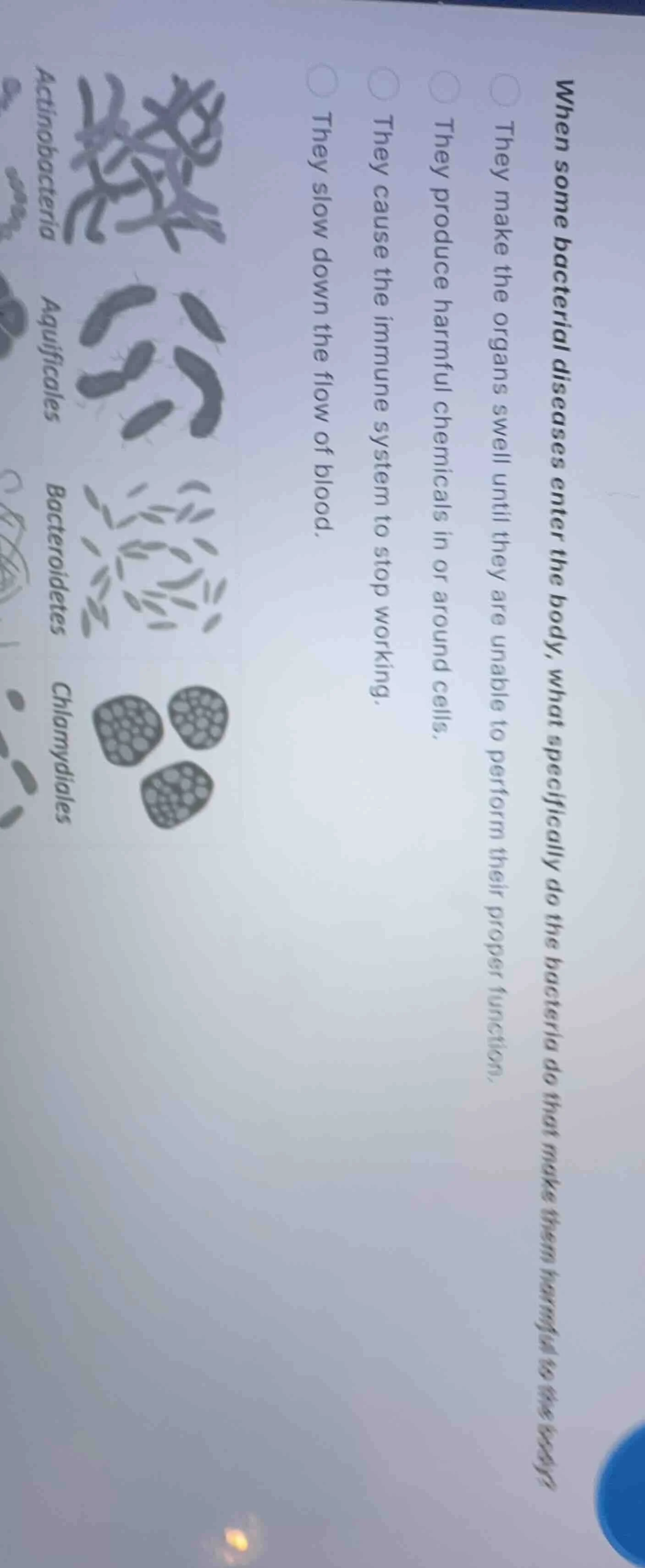 when some bacterial diseases enter the body, what specifically do the b…