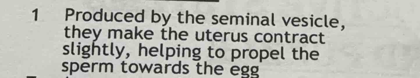 1 produced by the seminal vesicle, they make the uterus contract slight…