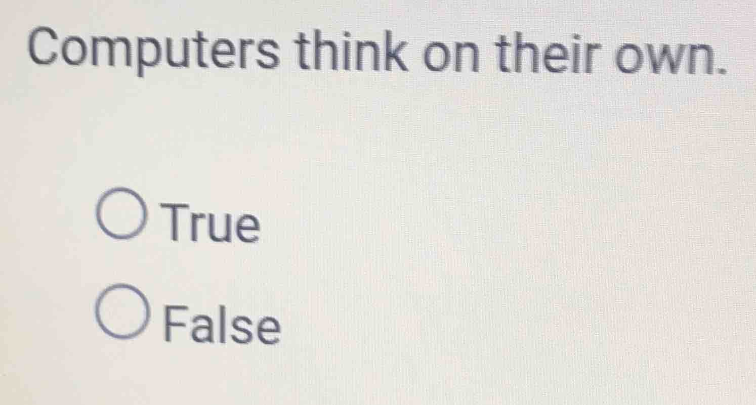 computers think on their own. true false