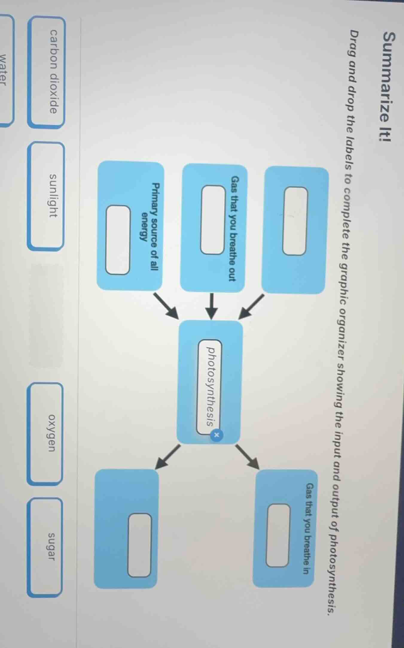 summarize it! drag and drop the labels to complete the graphic organize…