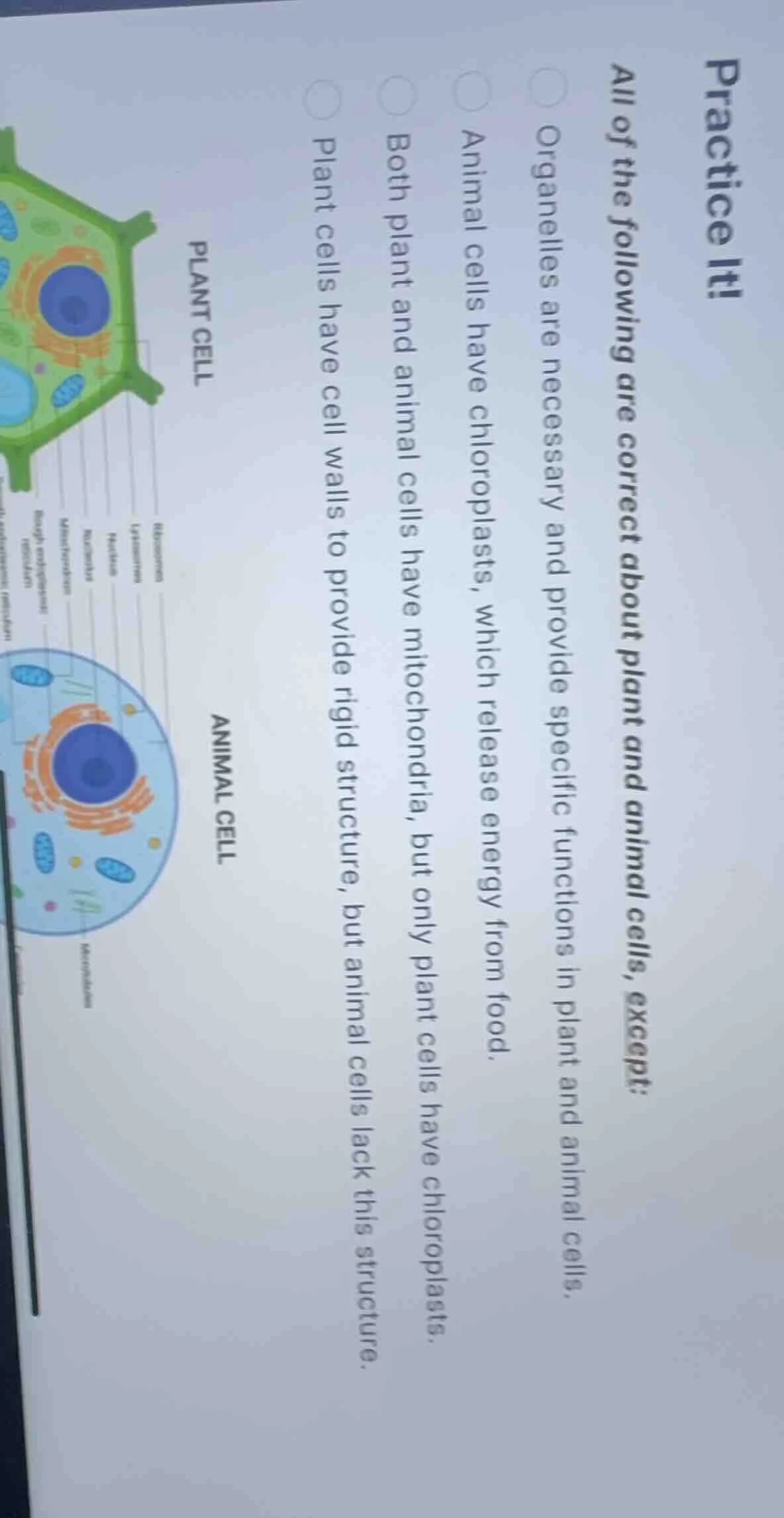 practice it! all of the following are correct about plant and animal ce…