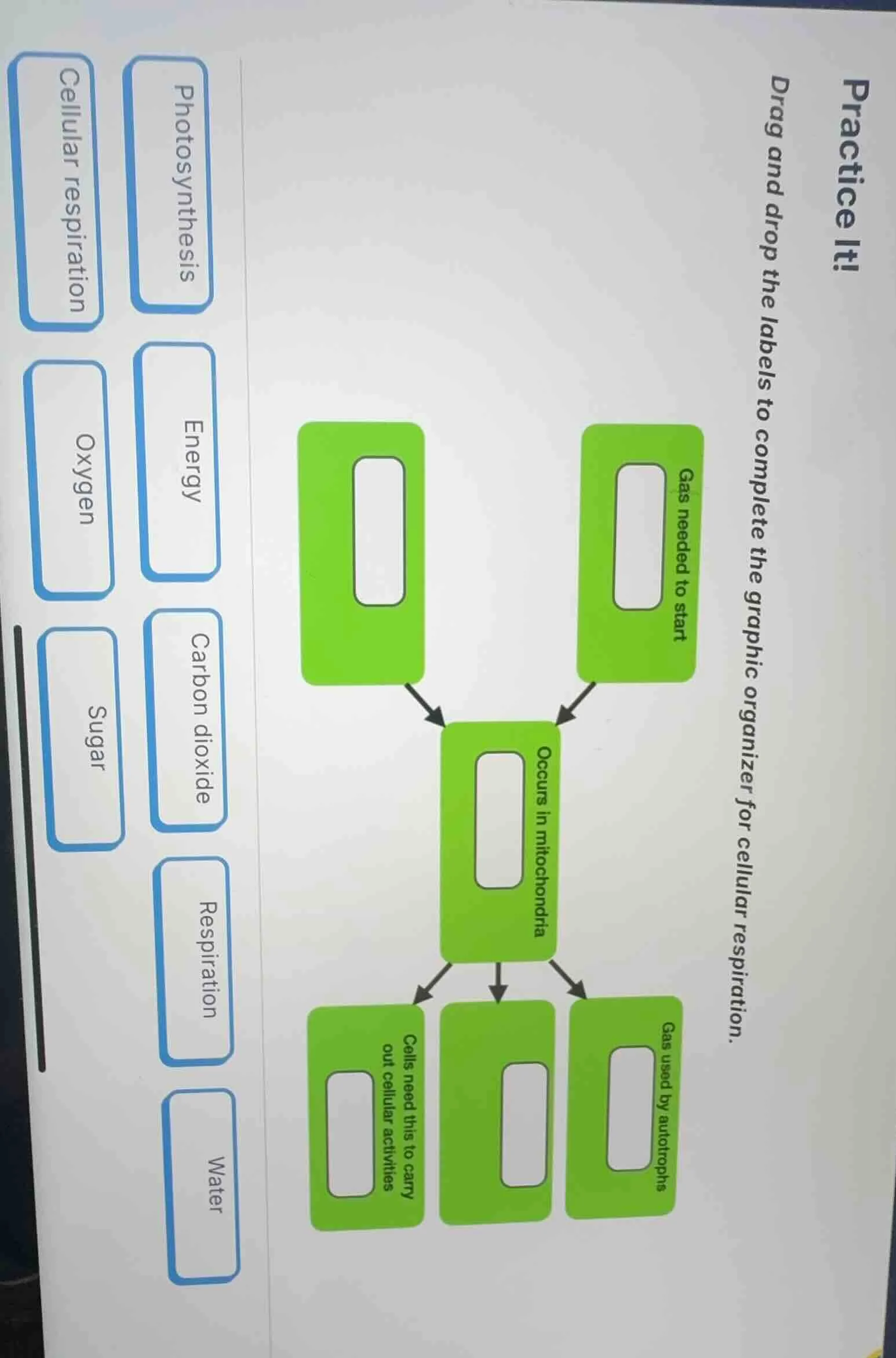 practice it! drag and drop the labels to complete the graphic organizer…