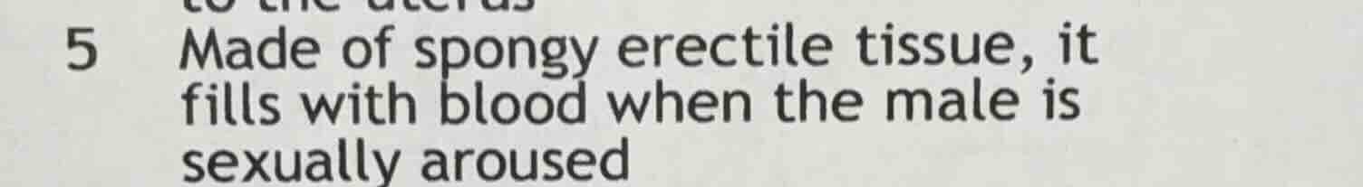 5 made of spongy erectile tissue, it fills with blood when the male is …
