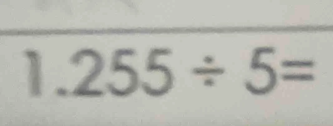 1.255 ÷ 5=