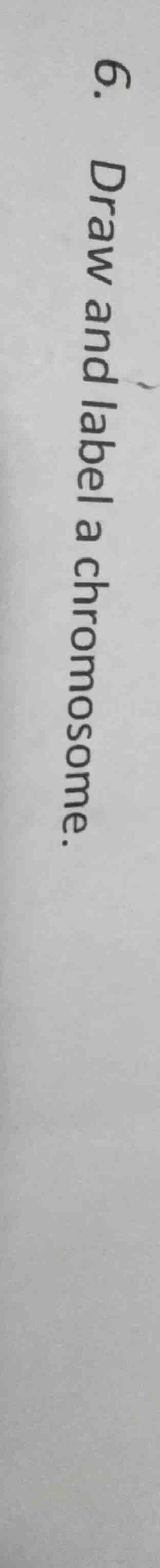 6. draw and label a chromosome.