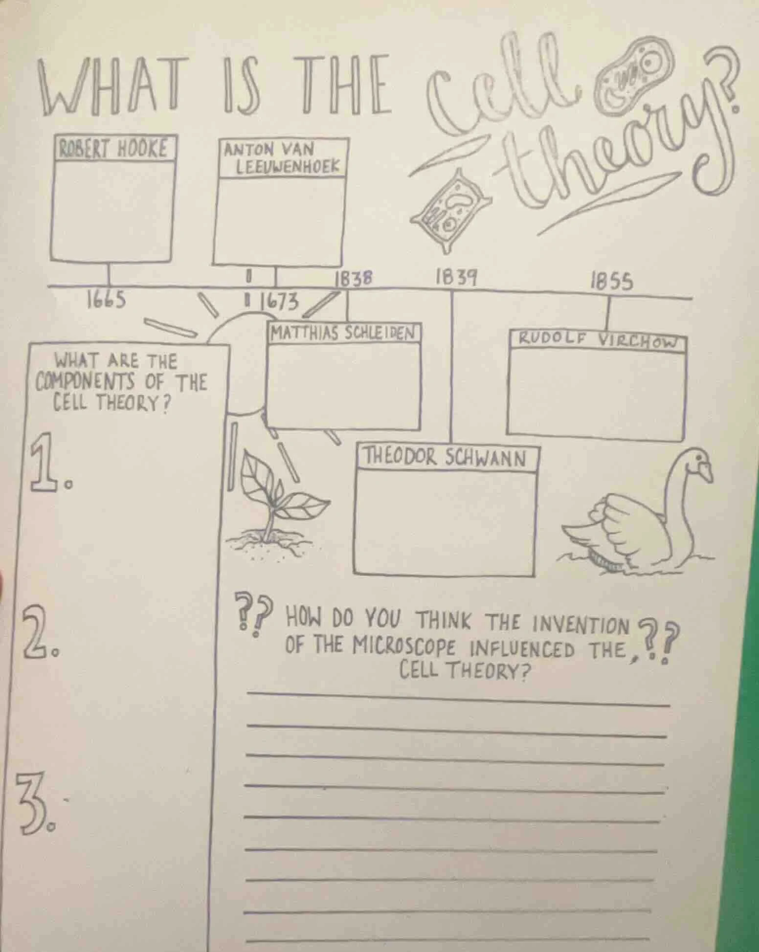 what is the cell theory? robert hooke anton van leeuwenhoek 1665 1673 1…