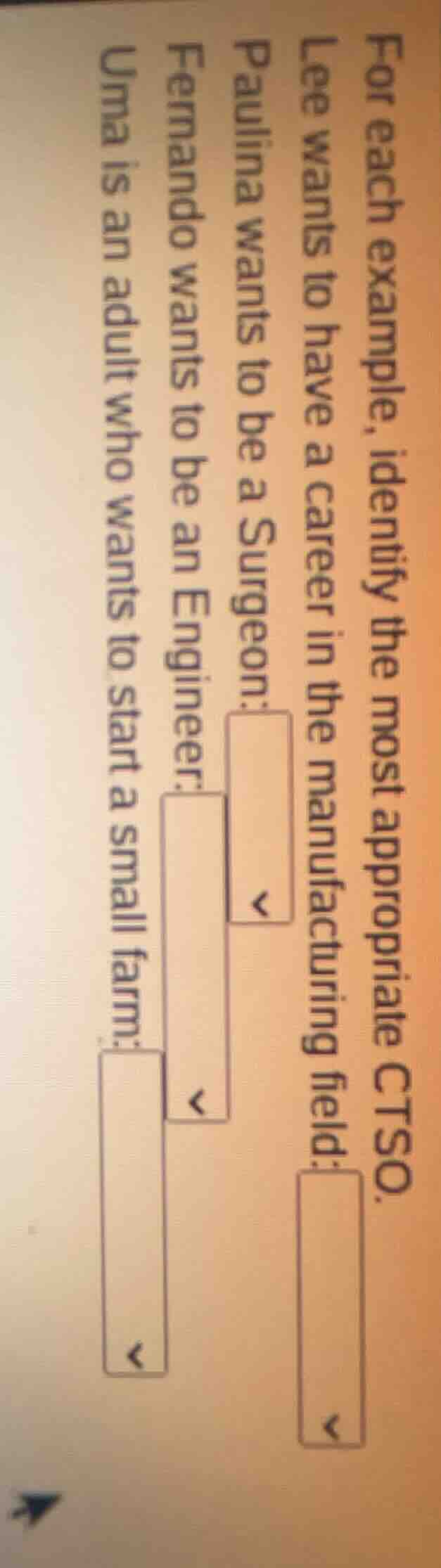 for each example, identify the most appropriate ctso. lee wants to have…