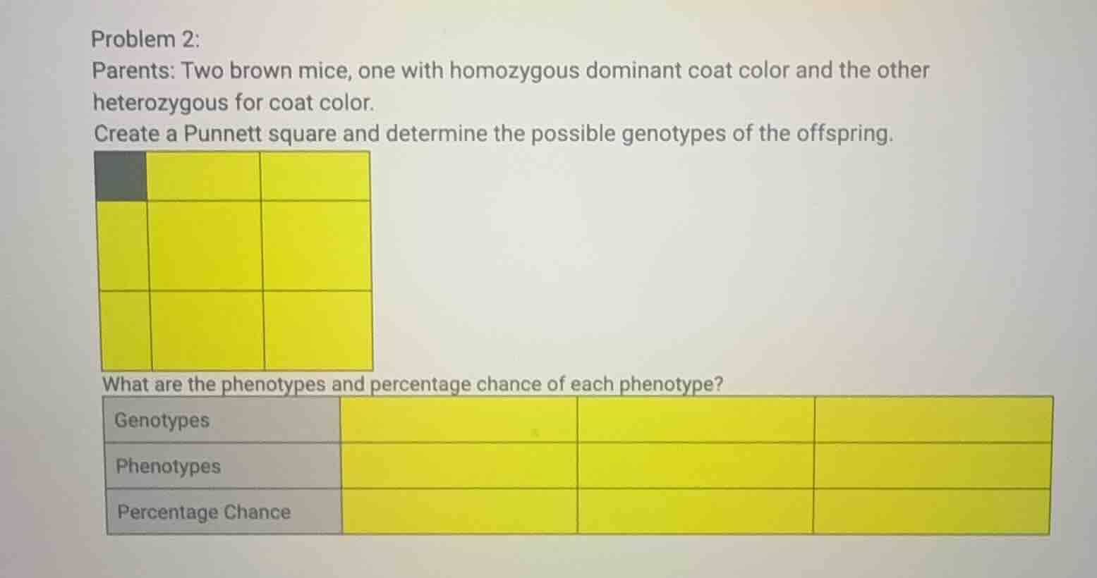 problem 2: parents: two brown mice, one with homozygous dominant coat c…