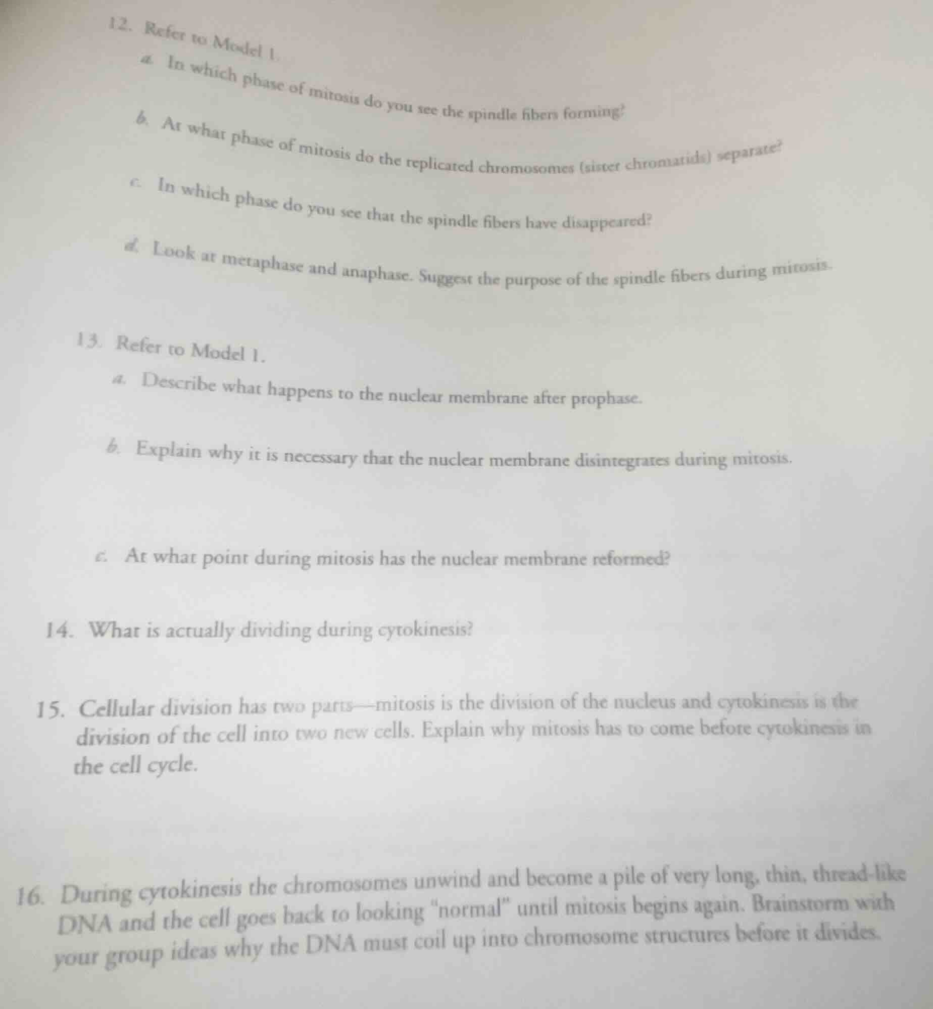 12. refer to model 1. a. in which phase of mitosis do you see the spind…
