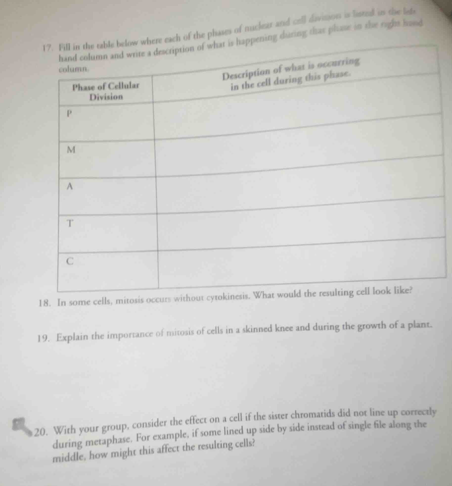 17. fill in the table below where each of the phases of nuclear and cel…