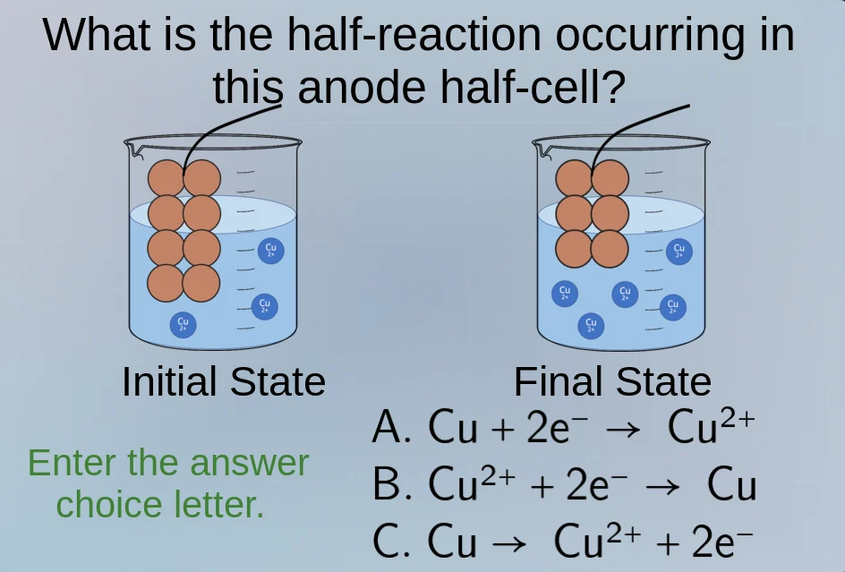 what is the half - reaction occurring in this anode half - cell? initia…