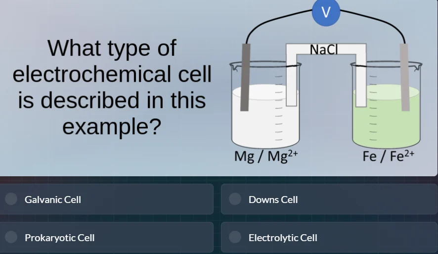 what type of electrochemical cell is described in this example? mg / mg…