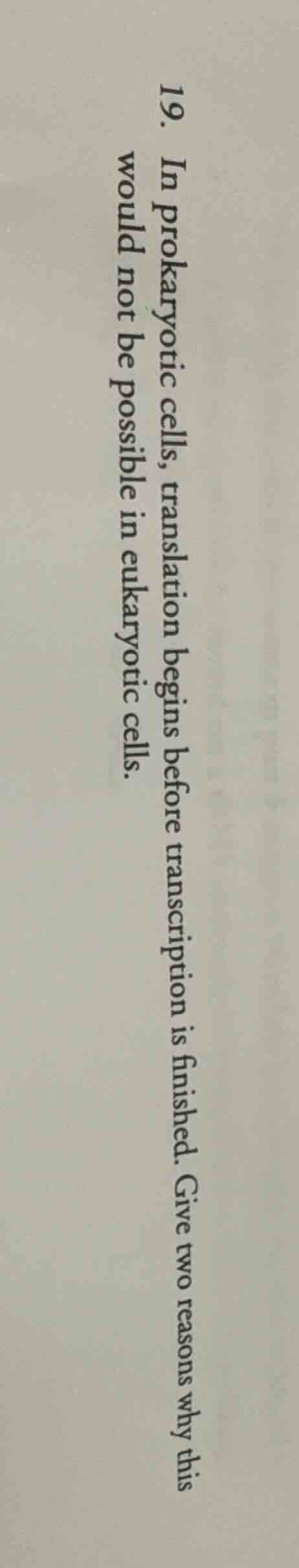 19. in prokaryotic cells, translation begins before transcription is fi…