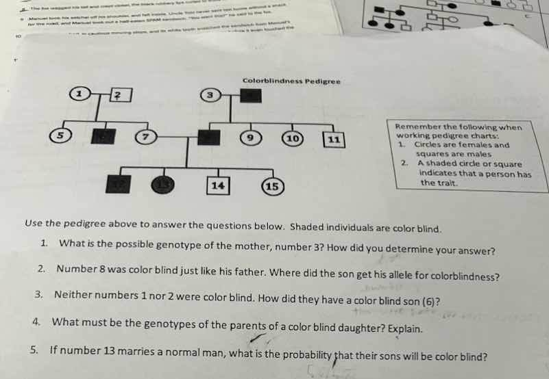 colorblindness pedigree remember the following when working pedigree ch…