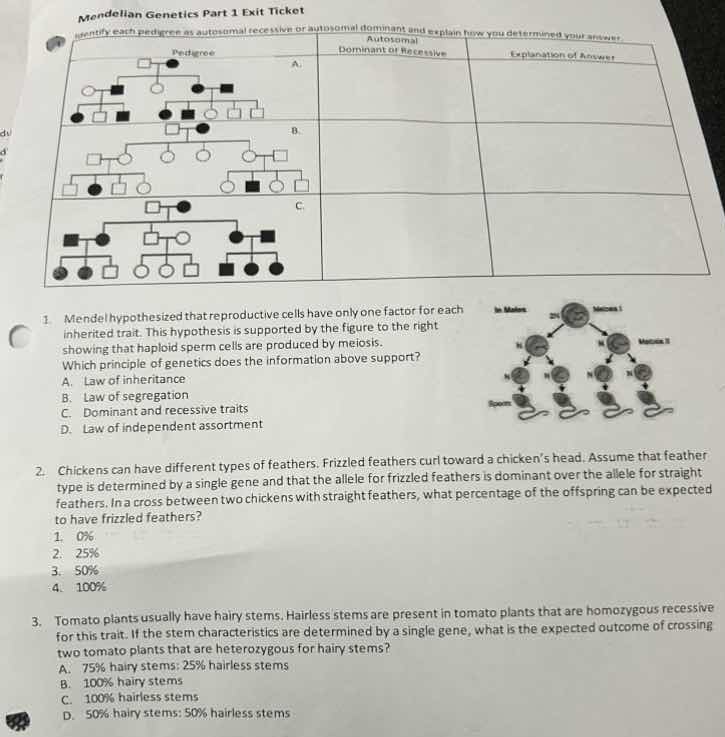mendelian genetics part 1 exit ticket identify each pedigree as autosom…