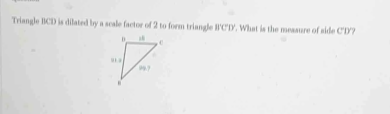 triangle bcd is dilated by a scale factor of 2 to form triangle bcd. wh…