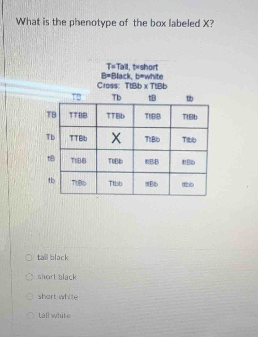 what is the phenotype of the box labeled x? t=tall, t=short b=black, b=…
