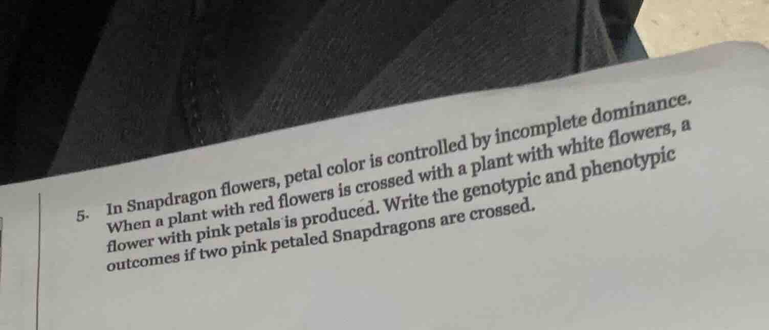 5. in snapdragon flowers, petal color is controlled by incomplete domin…