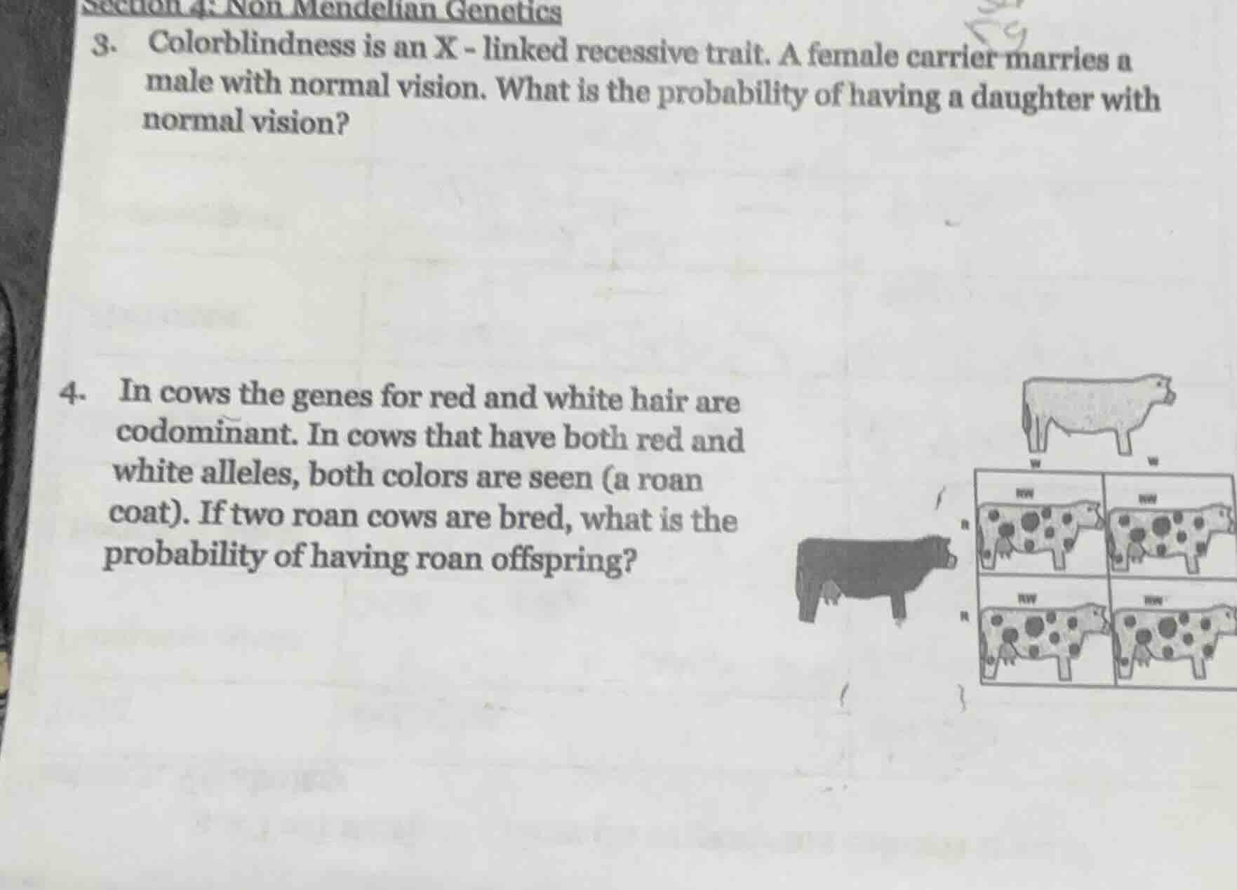 section 4: non mendelian genetics 3. colorblindness is an x - linked re…