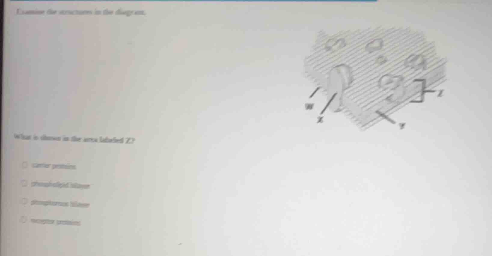 examine the structures in the diagram. what is shown in the area labele…