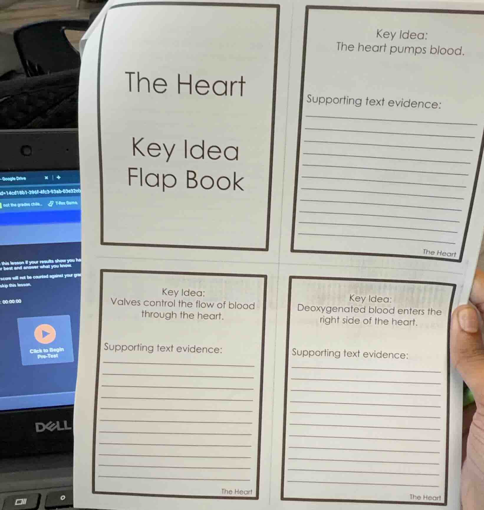 the heart key idea flap book key idea: the heart pumps blood. supportin…