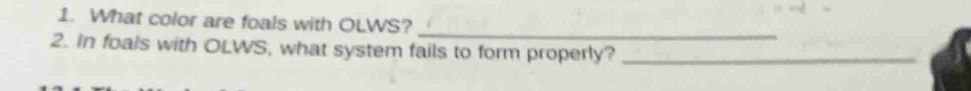 1. what color are foals with olws? 2. in foals with olws, what system f…