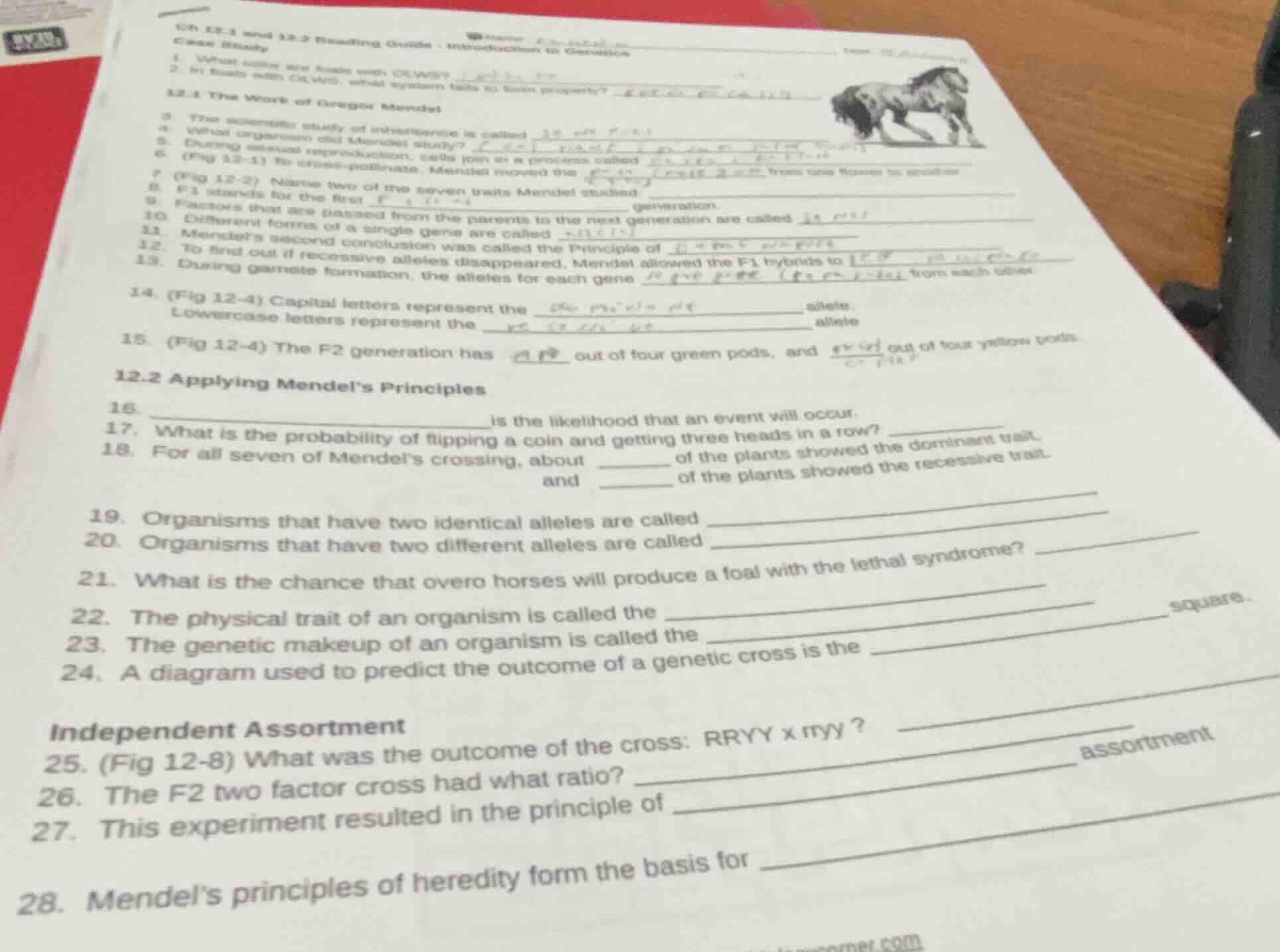 ch 12-1 and 12-2 reading guide : introduction to genetics case study 1.…
