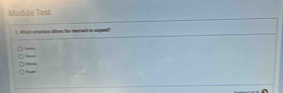 module test 1. which structure allows the stomach to expand? options (p…