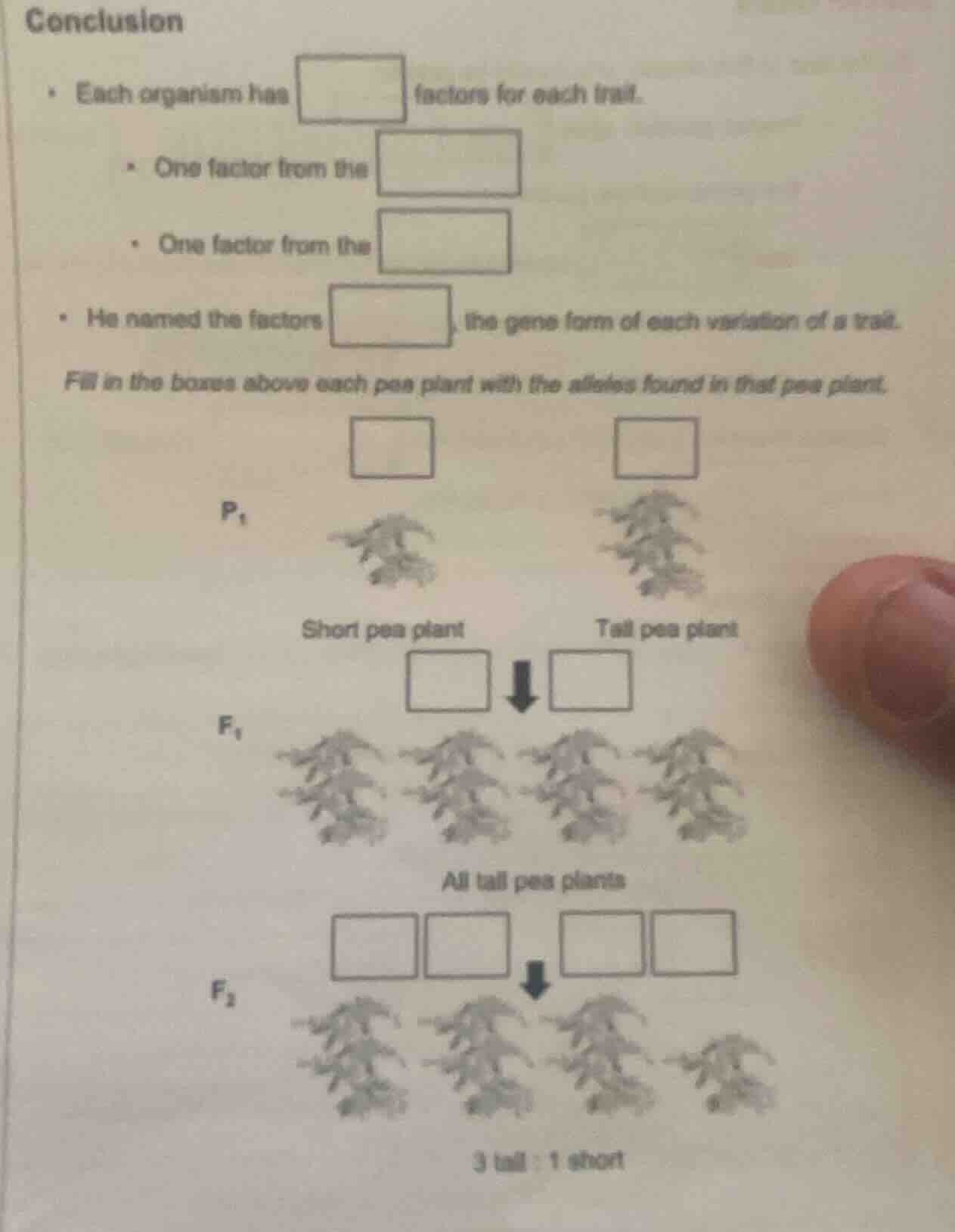 Question was provided via image upload.