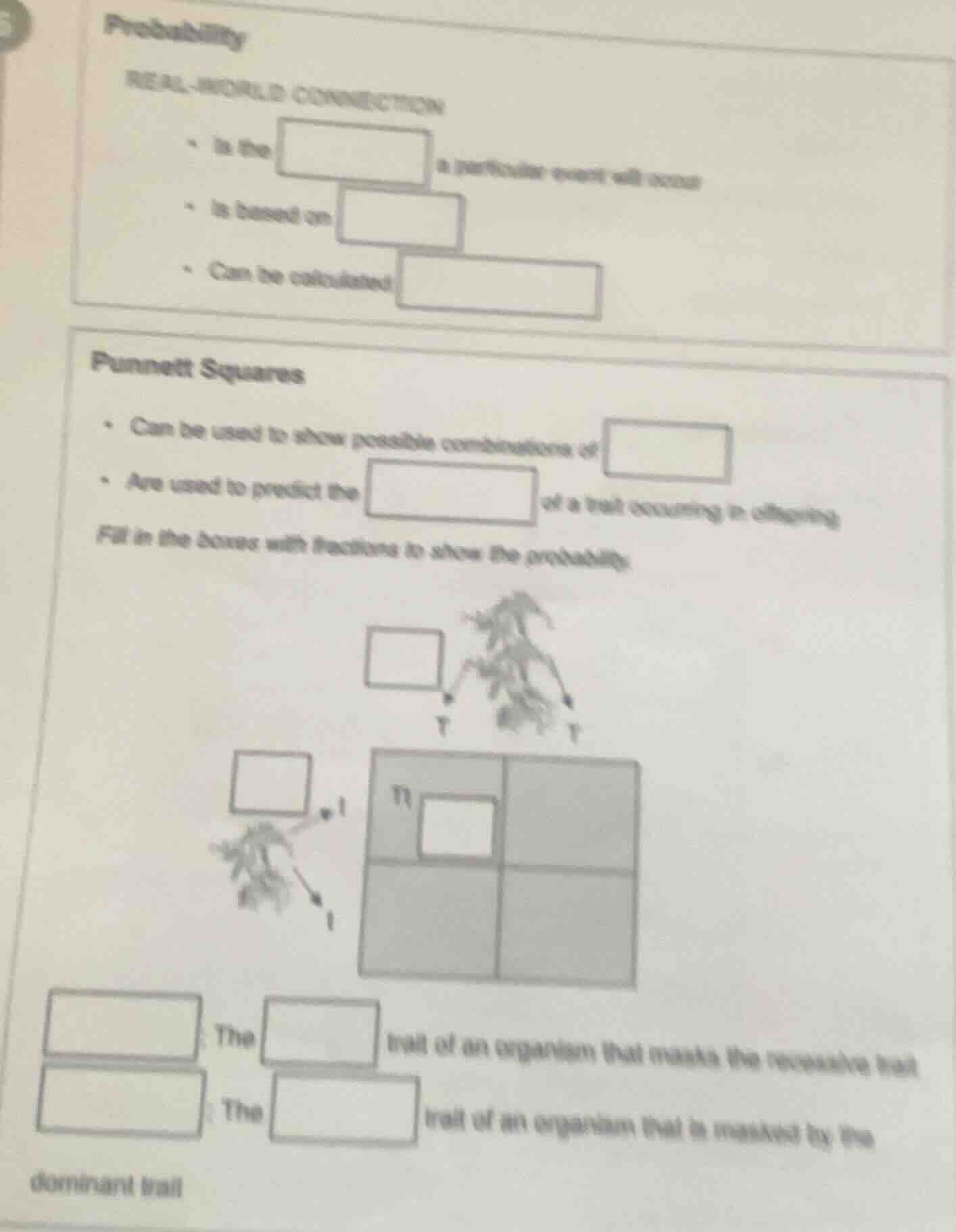 probability real - world connection - is the - is based on - can be cal…