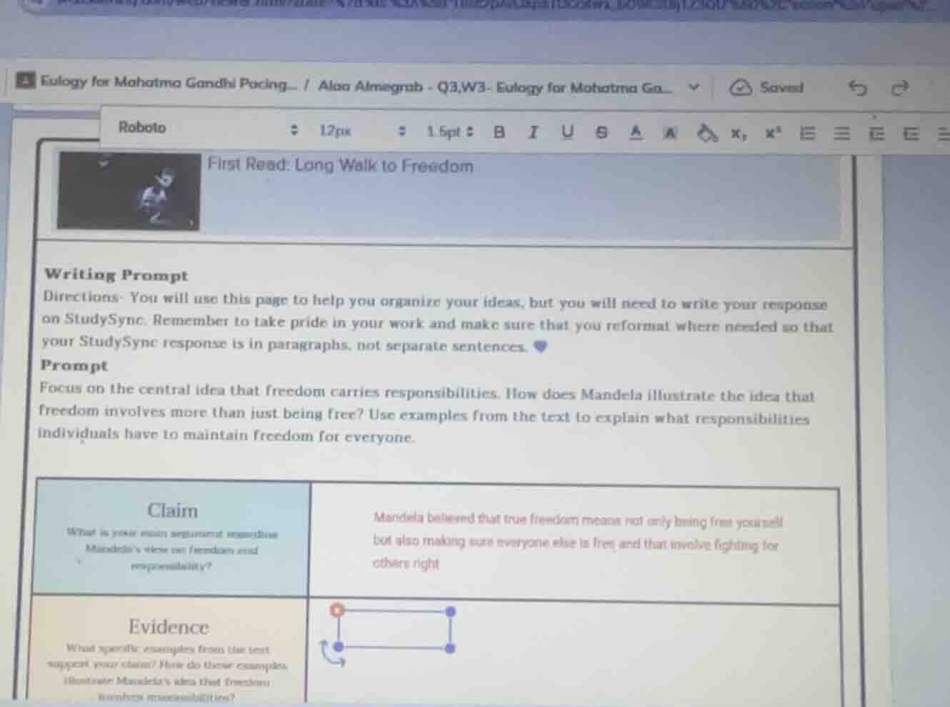 first read: long walk to freedom writing prompt directions: you will us…