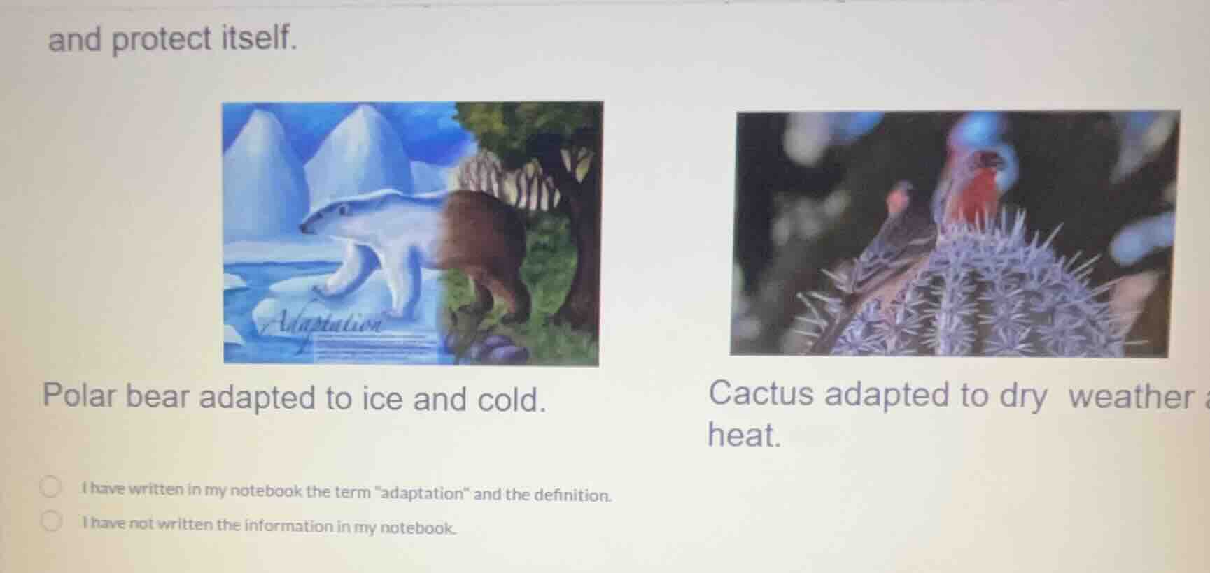 and protect itself. polar bear adapted to ice and cold. cactus adapted …