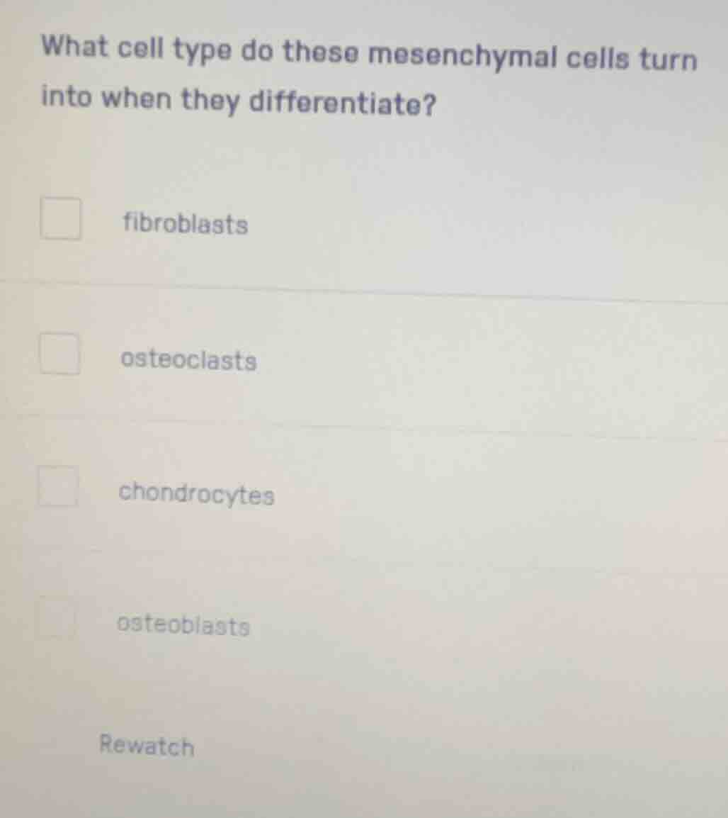 what cell type do these mesenchymal cells turn into when they different…