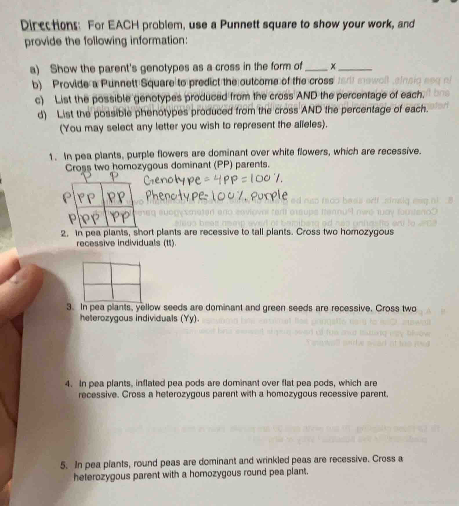 directions: for each problem, use a punnett square to show your work, a…
