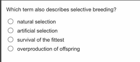 which term also describes selective breeding? natural selection artific…