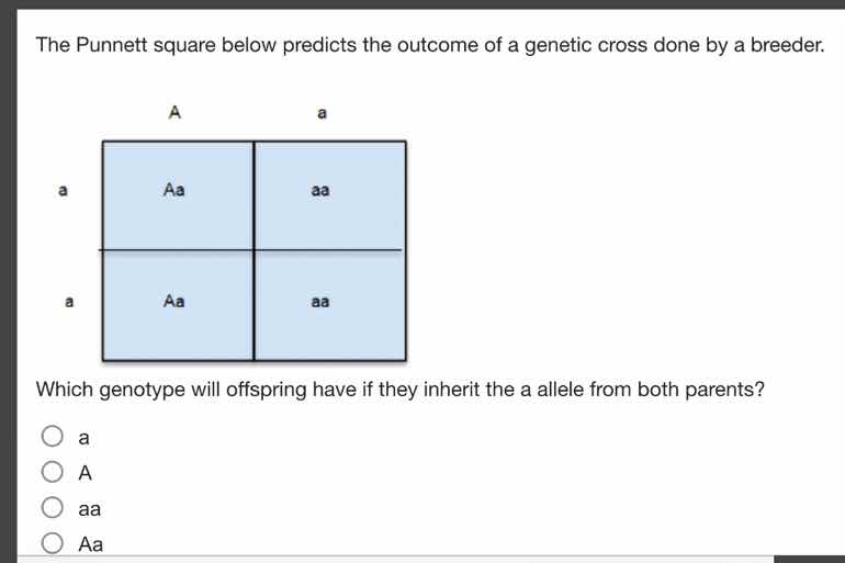 the punnett square below predicts the outcome of a genetic cross done b…