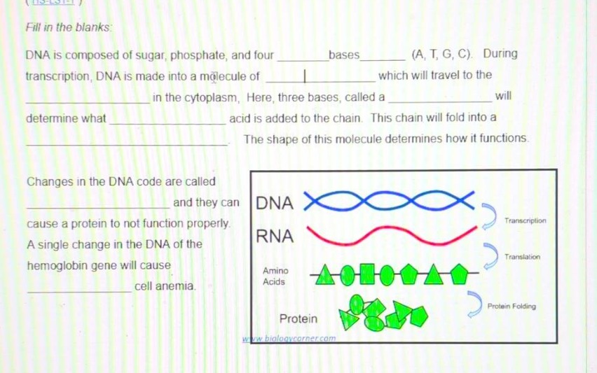 fill in the blanks: dna is composed of sugar, phosphate, and four _____…