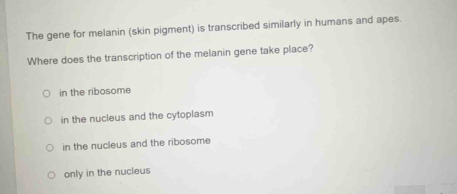 the gene for melanin (skin pigment) is transcribed similarly in humans …