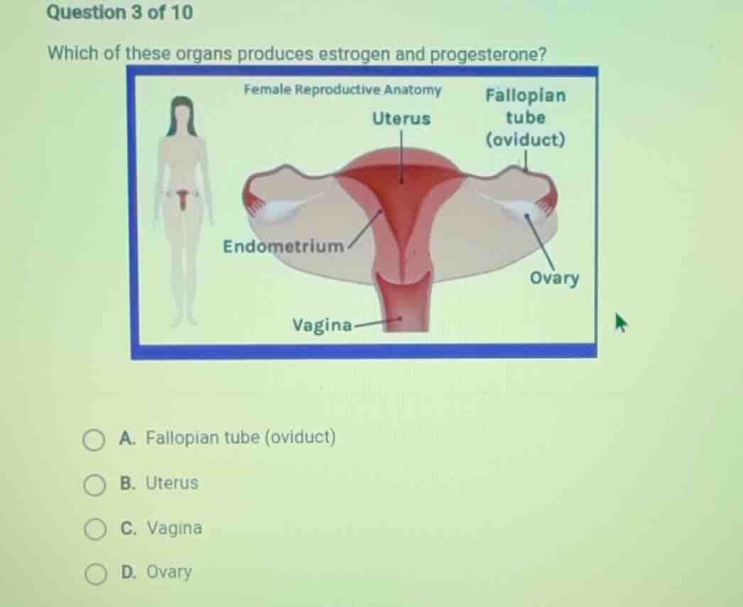 question 3 of 10 which of these organs produces estrogen and progestero…
