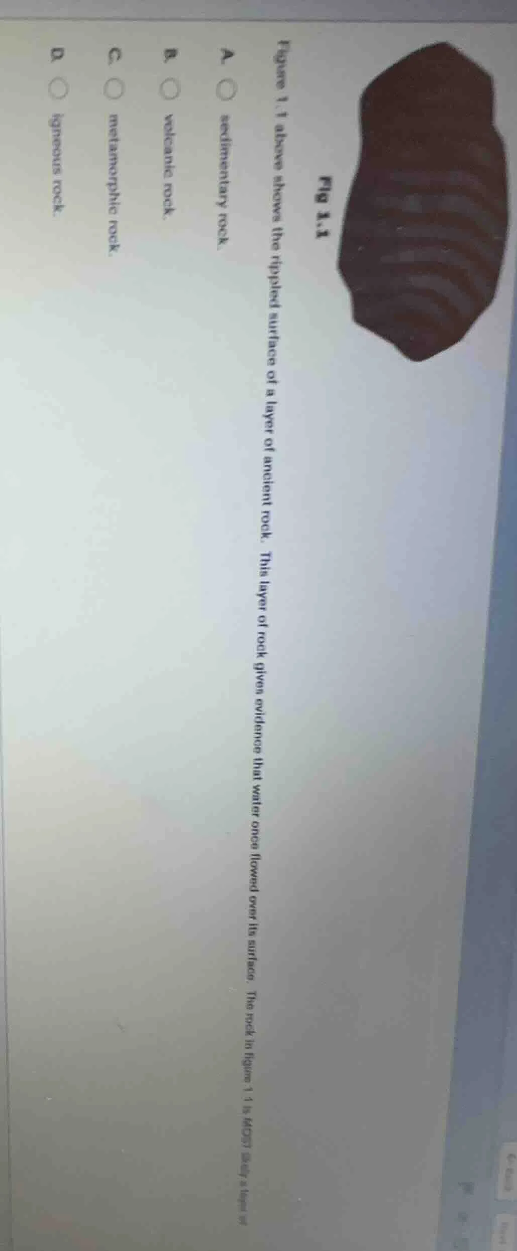 fig 1.1 figure 1.1 above shows the rippled surface of a layer of ancien…