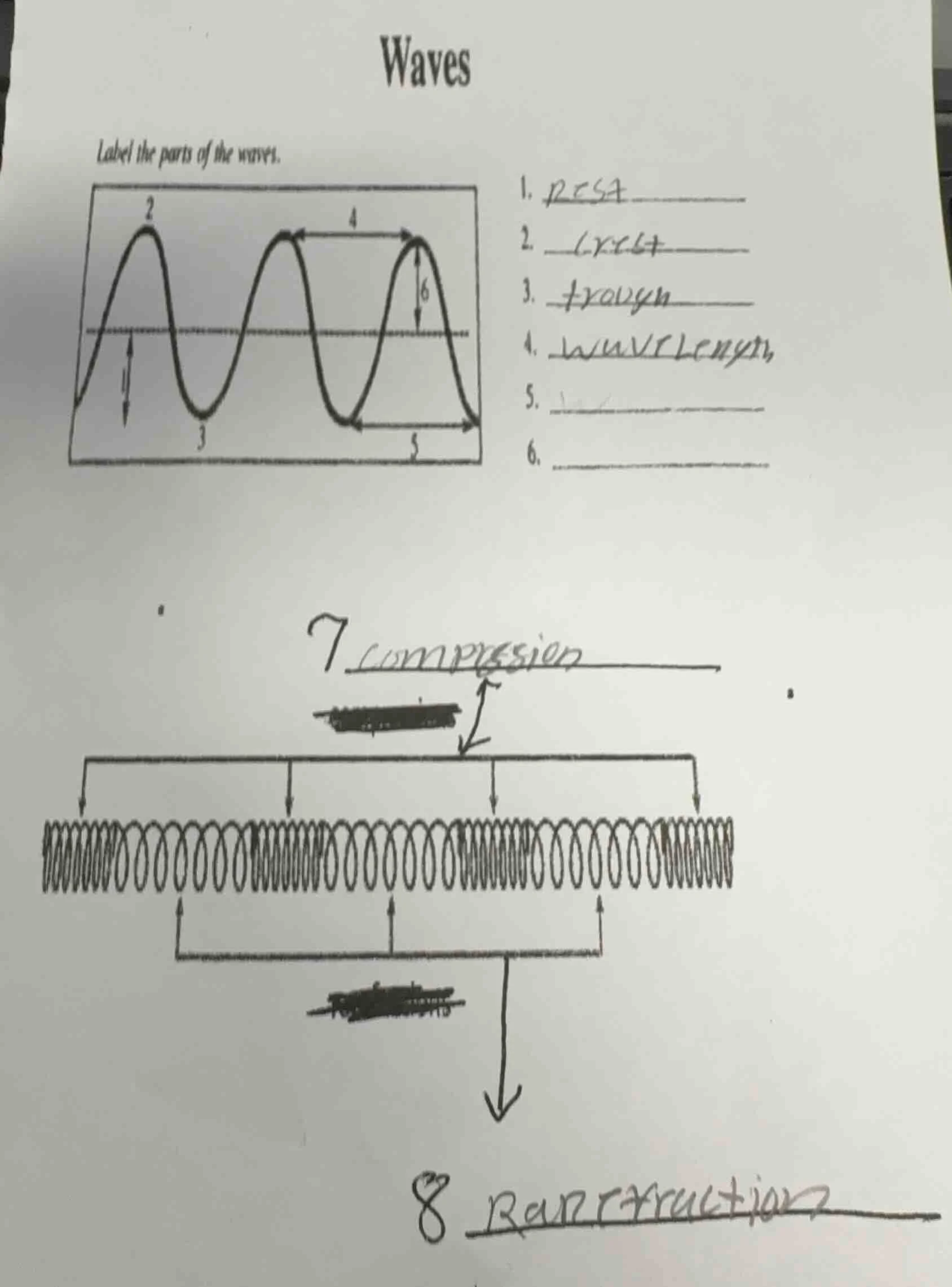 waves label the parts of the waves. 1. 2. 3. 4. 5. 6. 7 8