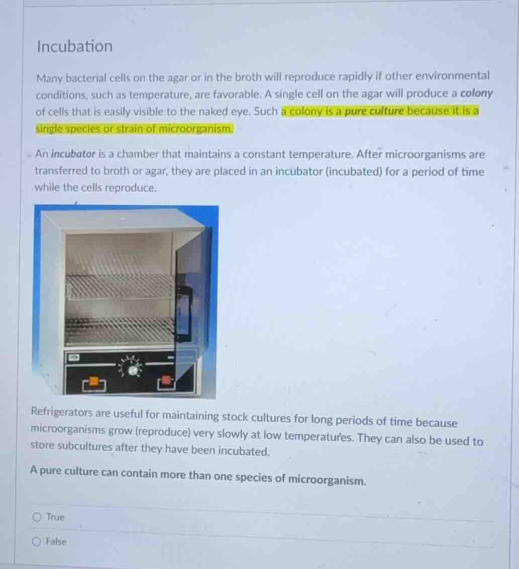 incubation many bacterial cells on the agar or in the broth will reprod…