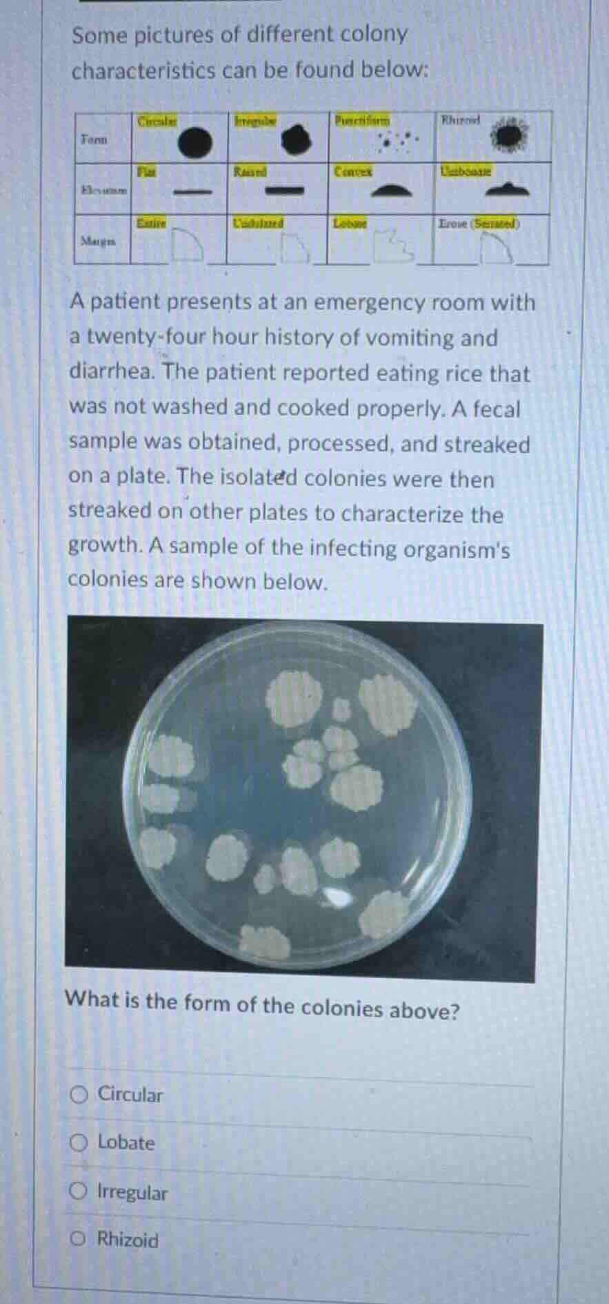 some pictures of different colony characteristics can be found below: a…
