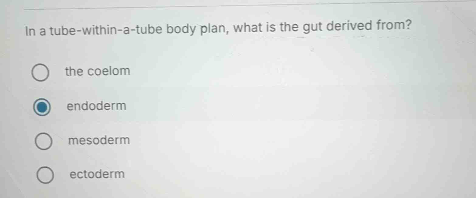 in a tube - within - a - tube body plan, what is the gut derived from? …