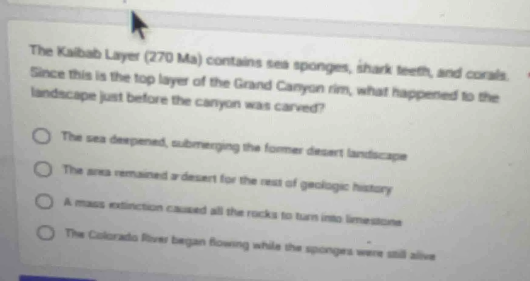 the kaibab layer (270 ma) contains sea sponges, shark teeth, and corals…
