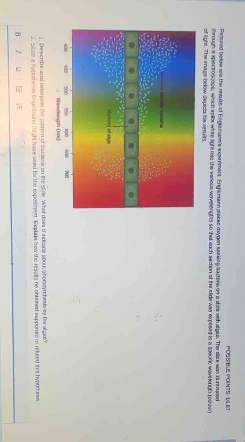 pictured below are the results of englemann’s experiment. englemann pla…