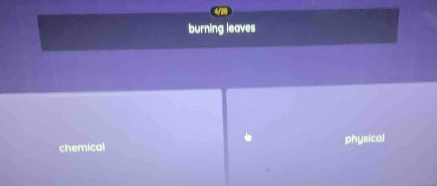 burning leaves chemical physical